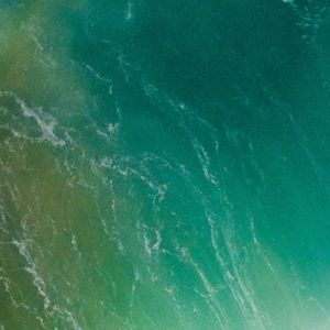 Meet your Posher, Chase